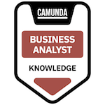 Business Analyst