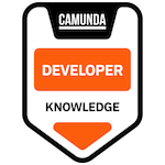 Developer