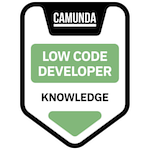 Low Code Developer